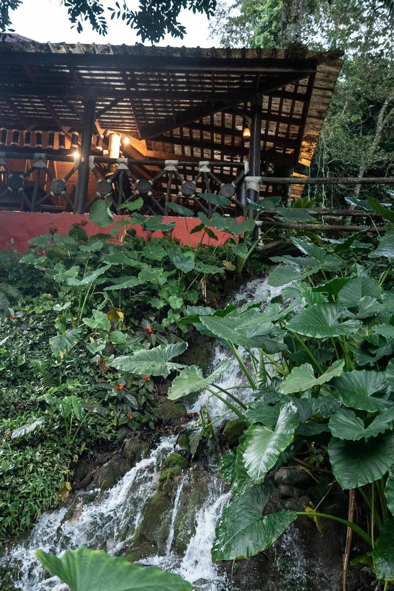 Platon Ecolodge Barahona المظهر الخارجي الصورة
