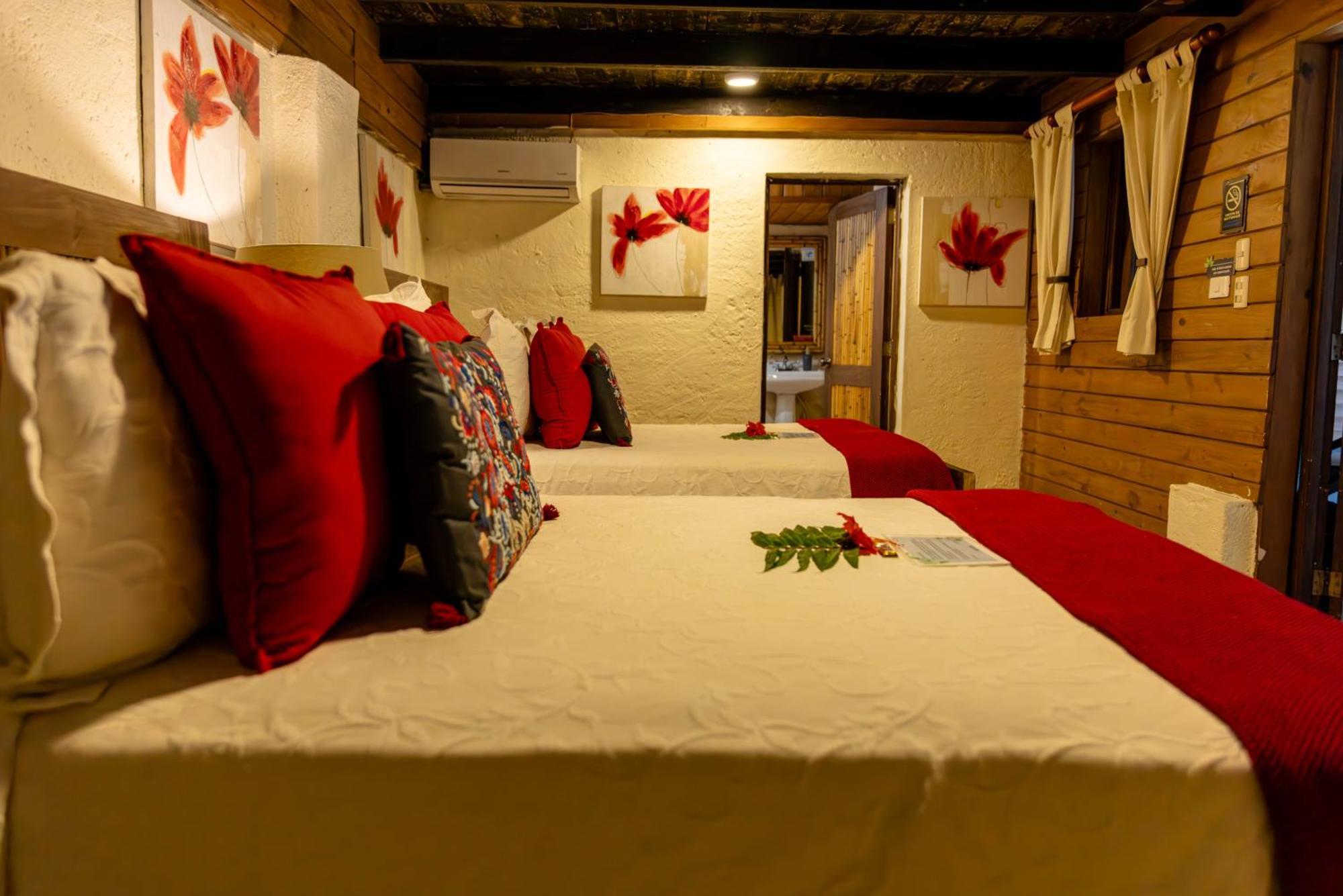 Platon Ecolodge Barahona المظهر الخارجي الصورة